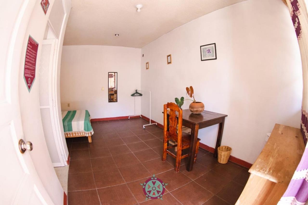 Hostal Alegria De Oaxaca 外观 照片